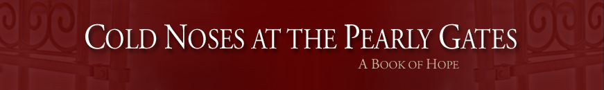 www.coldnosesbook.com
